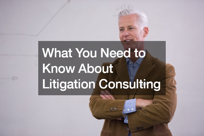 litigation consulting